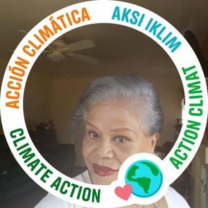 Meet your Posher, Ana marina